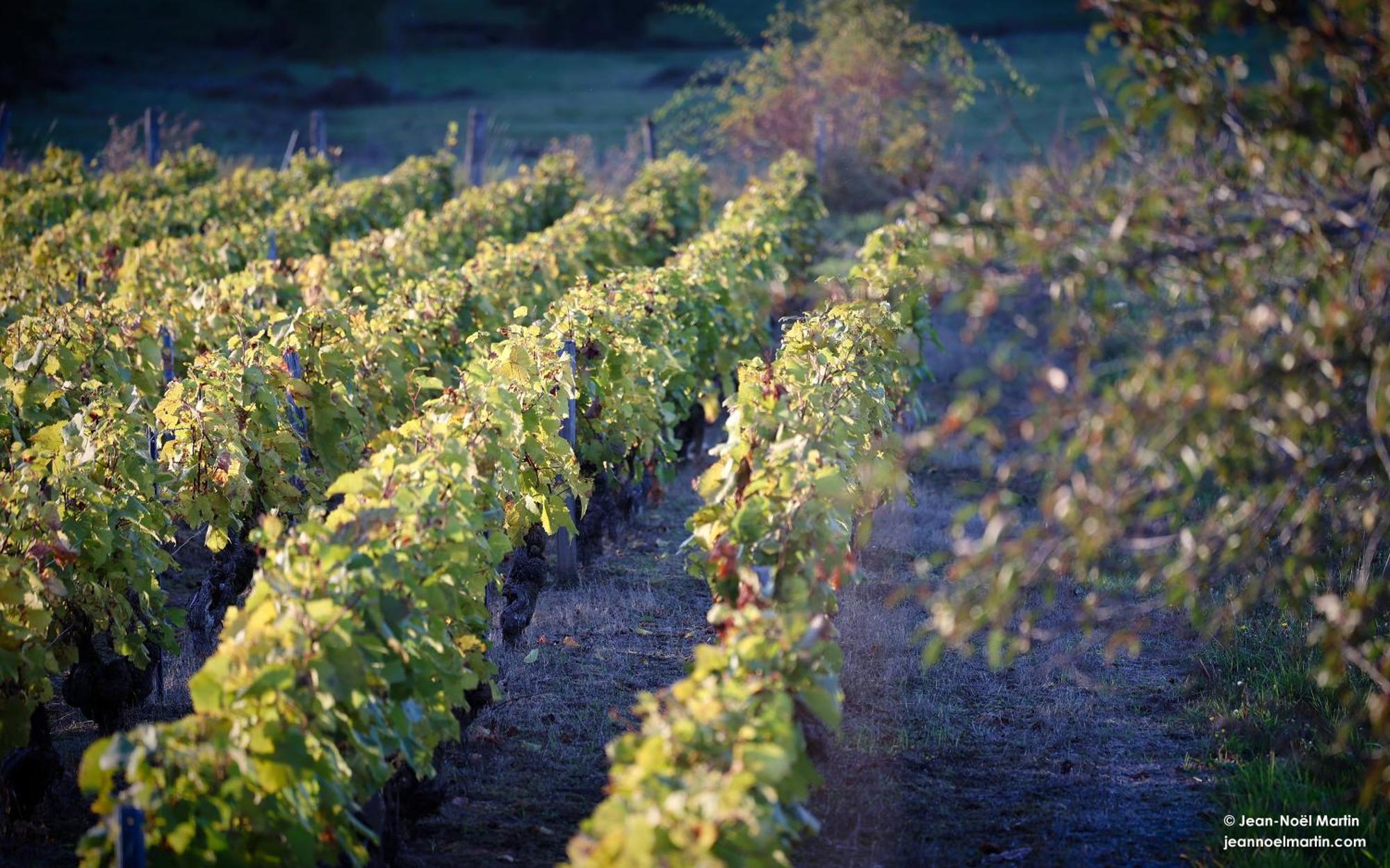 Le Domaine De Moroges Bed & Breakfast エクステリア 写真