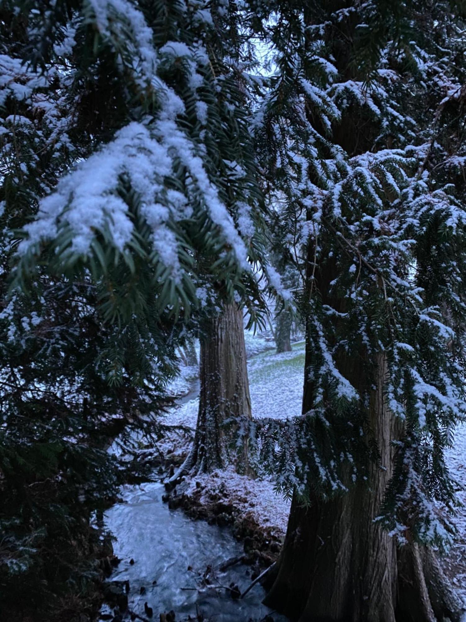 Le Domaine De Moroges Bed & Breakfast エクステリア 写真